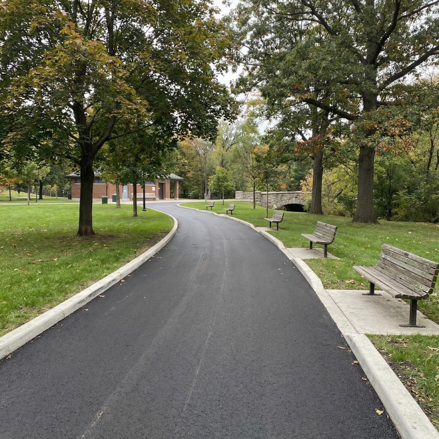Freshly paved curved asphalt pathway through a park with benches
